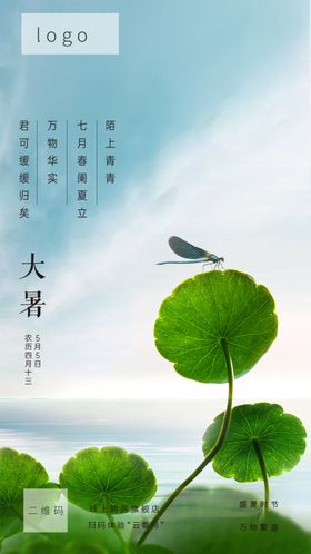 大暑小暑夏至节气节日
