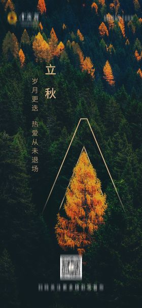 立秋海报