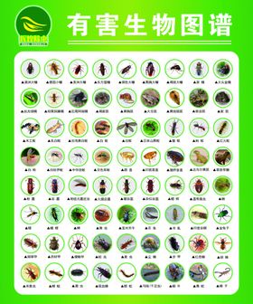 昆虫图谱