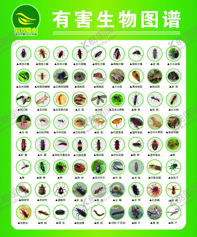 编号：72360407020614191686【酷图网】源文件下载-昆虫图谱