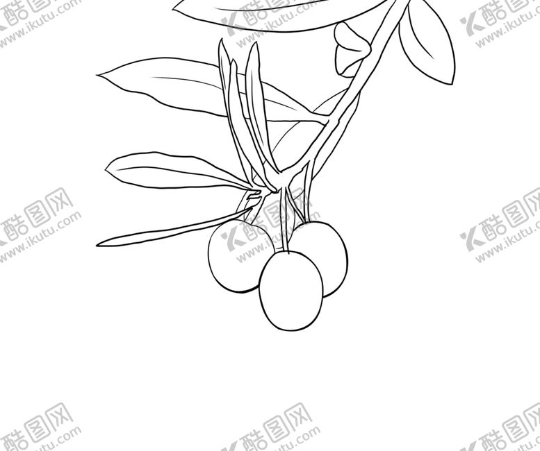 编号：17318409280751359075【酷图网】源文件下载-橄榄