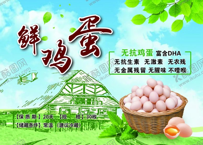 编号：66319311242333466410【酷图网】源文件下载-鲜鸡蛋