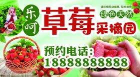 草莓海报蔬果