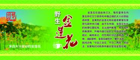 金莲花