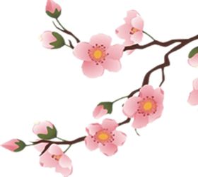 美丽美观梅花