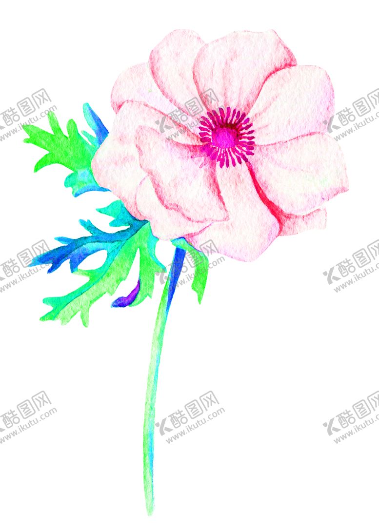编号：51449906250817416815【酷图网】源文件下载-花素材
