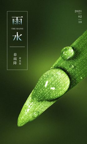 雨水