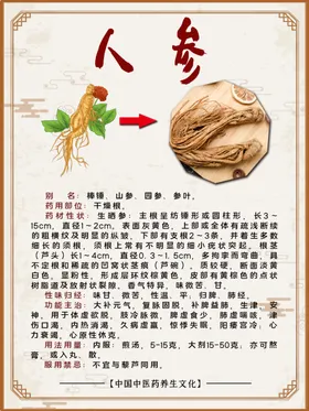 人参