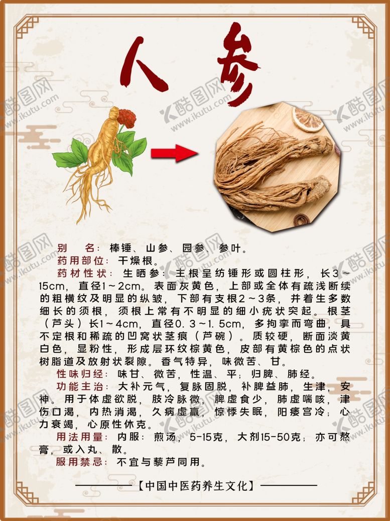 编号：34413710181037595096【酷图网】源文件下载-人参