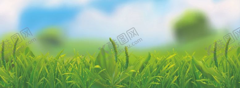 编号：55457205010217316107【酷图网】源文件下载-绿植花卉