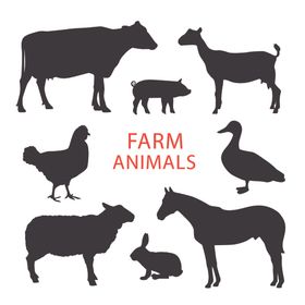 羊卡通羊手绘羊动物