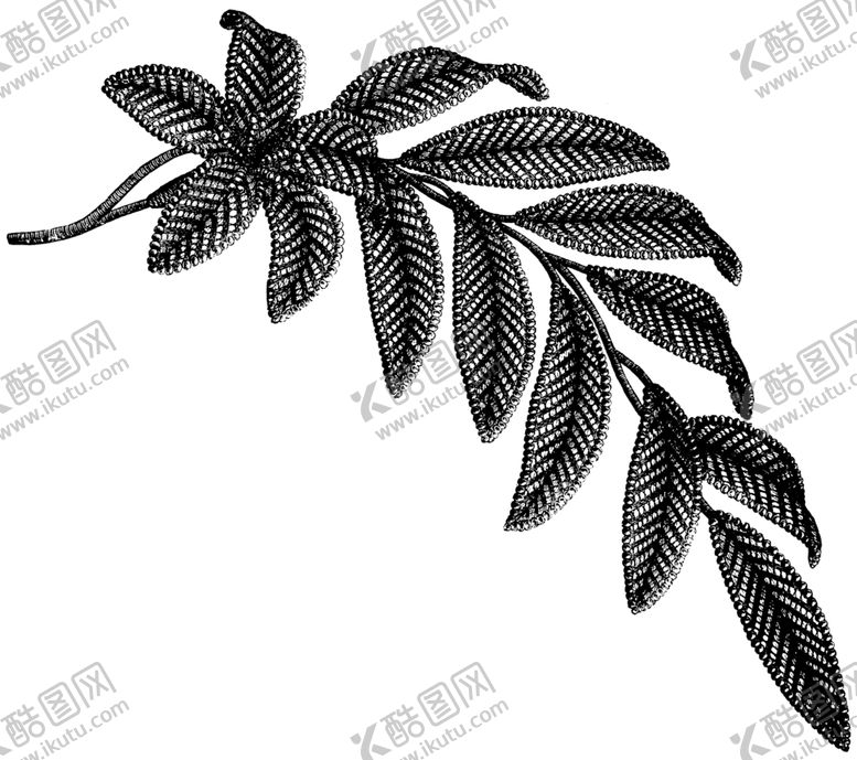 编号：19805909101429234072【酷图网】源文件下载-花纹底纹边纹背景图片