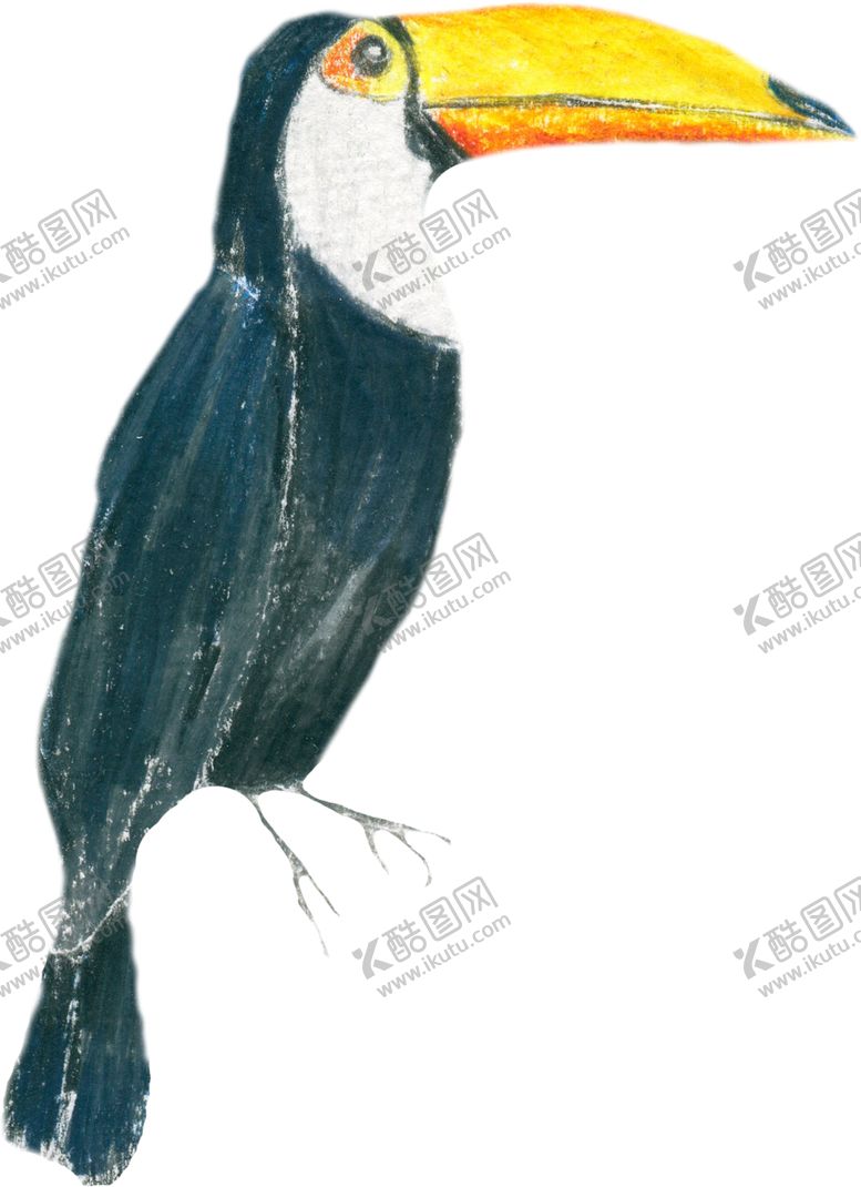 编号：69670412300927042592【酷图网】源文件下载-花卉背景