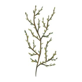 森系花枝