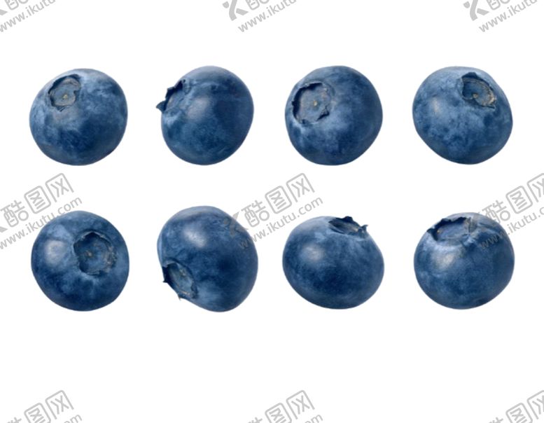 编号：97133310311332044164【酷图网】源文件下载-蓝莓