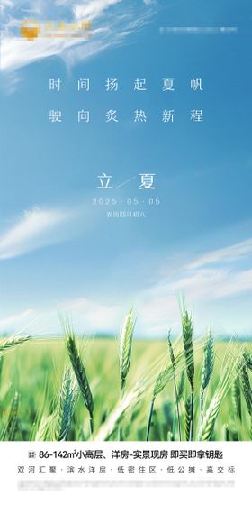 立夏节气移动端海报麦穗二十四田野