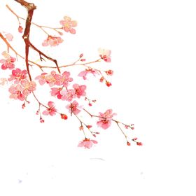 梅花素材