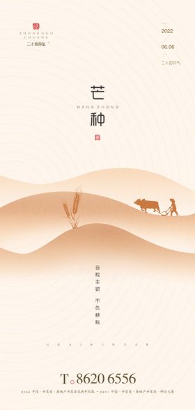 芒种海报
