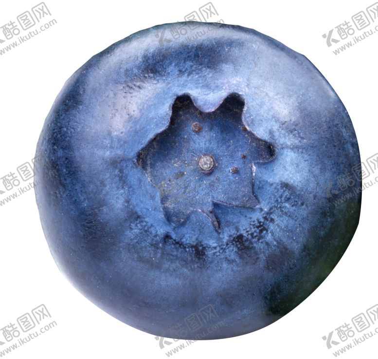 编号：88280809201804589299【酷图网】源文件下载-蓝莓