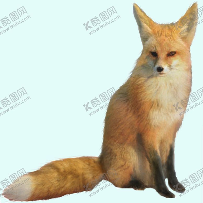 编号：38165909221151039812【酷图网】源文件下载-狐狸