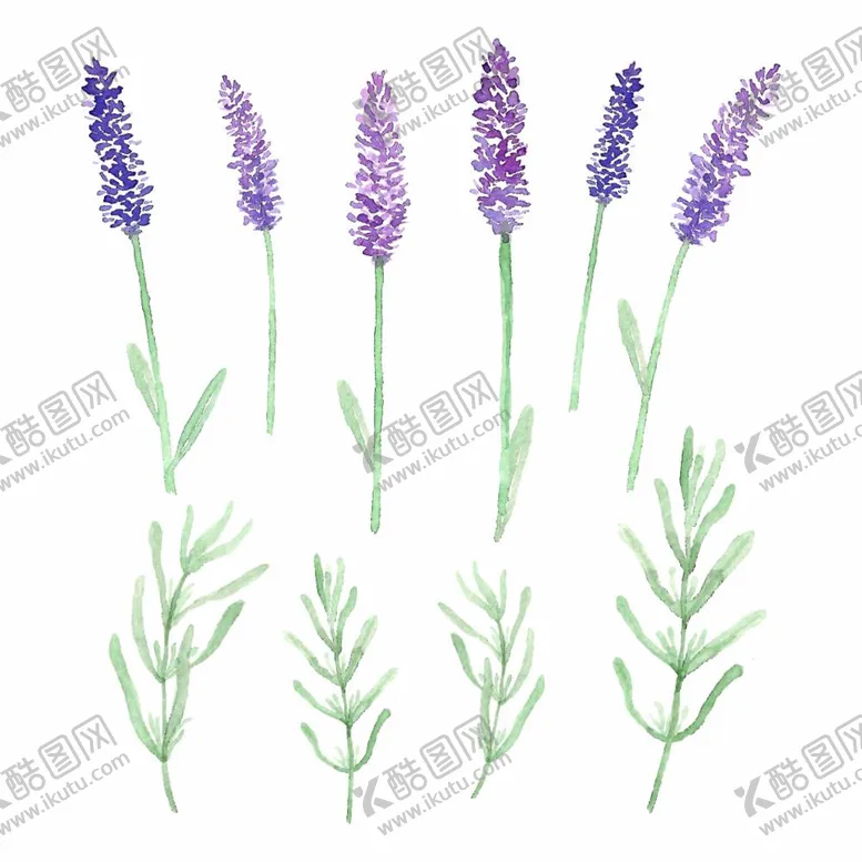 编号：53881011282038596366【酷图网】源文件下载-卡通薰衣草
