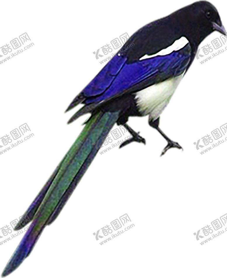 编号：33797909220021105006【酷图网】源文件下载-浪漫素材