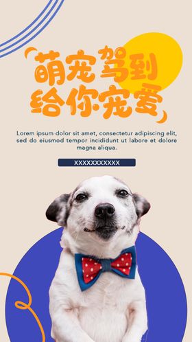 宠物海报店店招美容猫生活馆