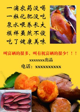 富硒地瓜海报