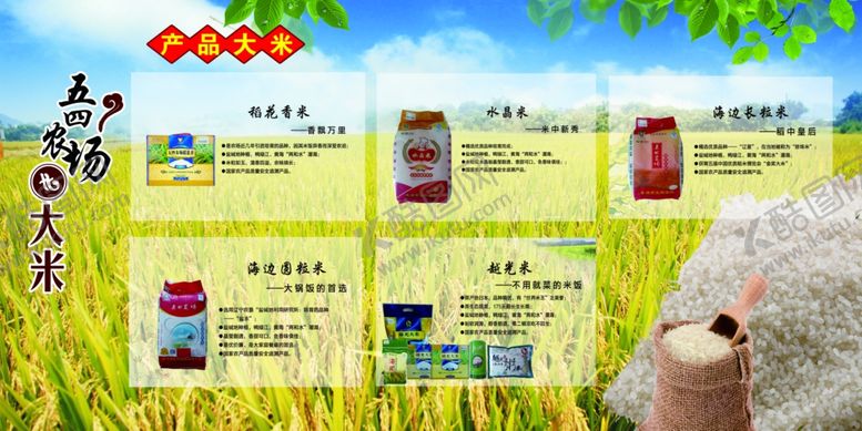 编号：52208506232203015360【酷图网】源文件下载-大米海报