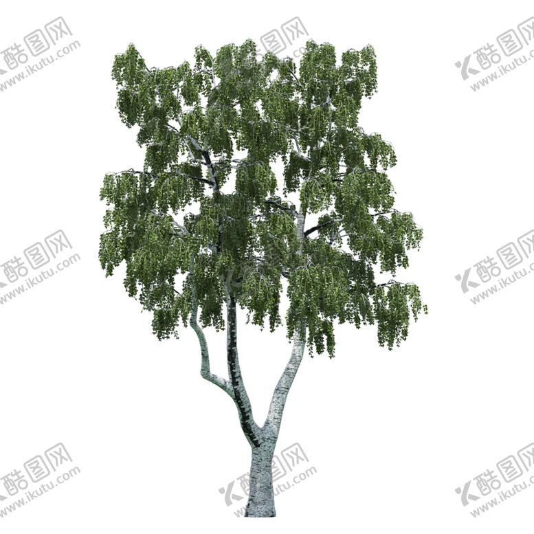 编号：92307206280613098087【酷图网】源文件下载-景观树