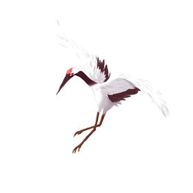 重阳节素材