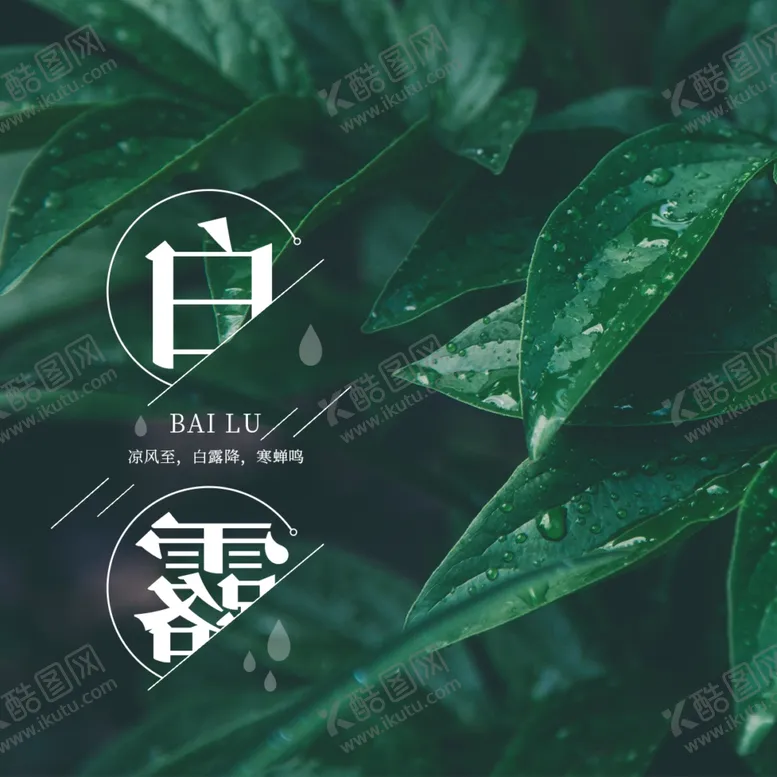 编号：29943006160421255683【酷图网】源文件下载-白露海报