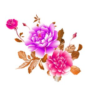 鲜花素材风信子边纹百合百合