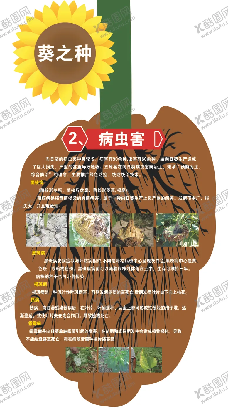 编号：45100605071009548885【酷图网】源文件下载-向日葵