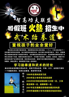 武术彩页反