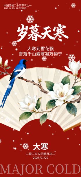 大寒节气梅花国风唯美海报