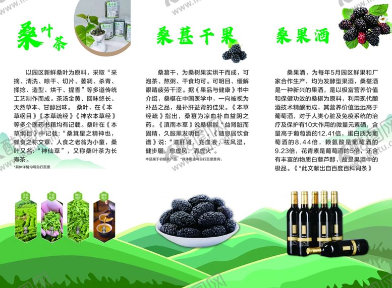 编号：98612302242212305310【酷图网】源文件下载-桑葚园折页