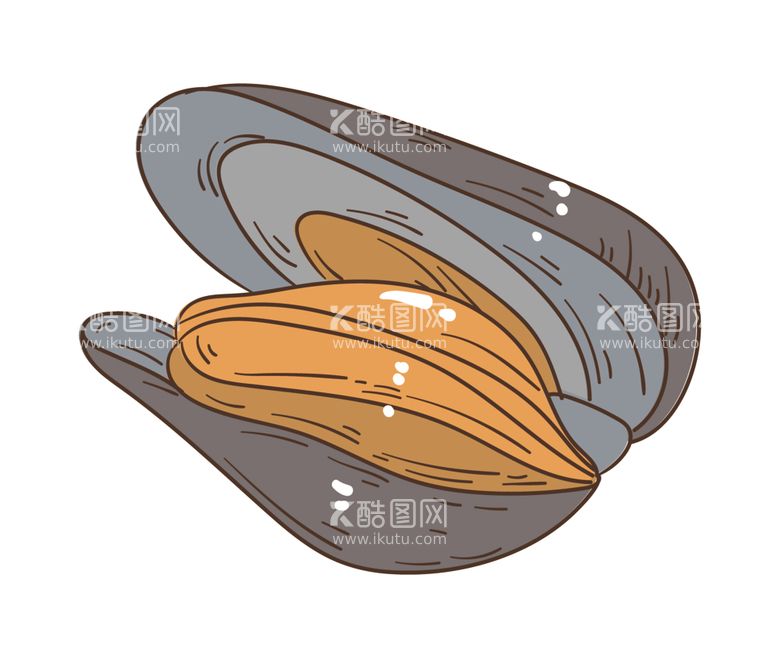 编号：81457712211922057789【酷图网】源文件下载-手绘贝壳