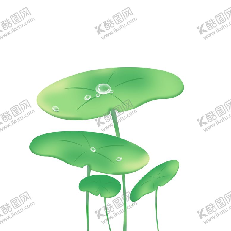 编号：50672909140119263104【酷图网】源文件下载-荷叶