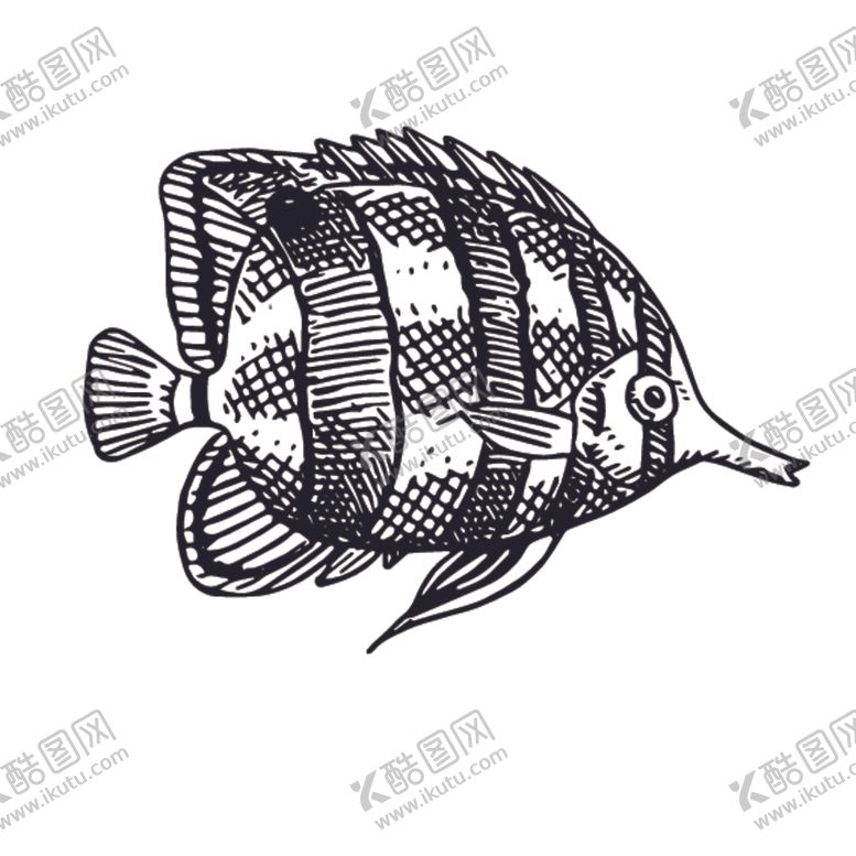 编号：93836010090717561502【酷图网】源文件下载-海洋生物鱼类图案