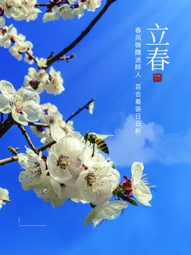 立春