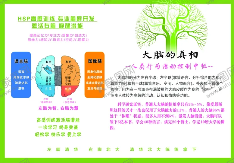 编号：71651807061803023573【酷图网】源文件下载-大脑的真相宣传图