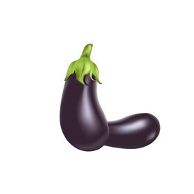 茄子素材