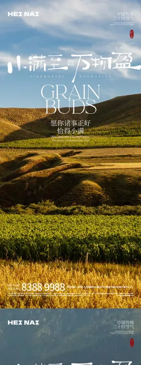 二十四节气小满意境海报