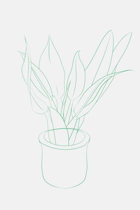 线描素描盆栽绿植插画