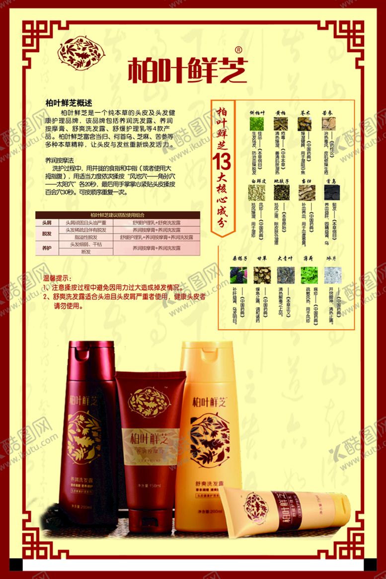 编号：10378209211603327429【酷图网】源文件下载-柏叶鲜芝
