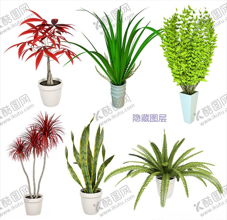 编号：63789509240941446322【酷图网】源文件下载-3D植物盆栽