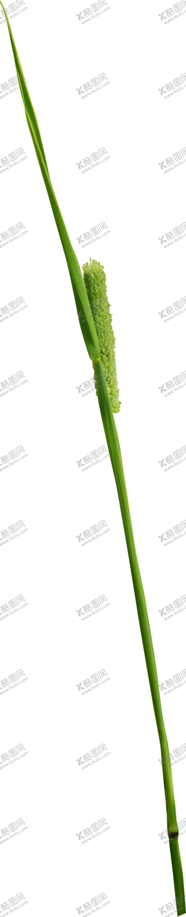 编号：76243209170607374893【酷图网】源文件下载-绿色相框