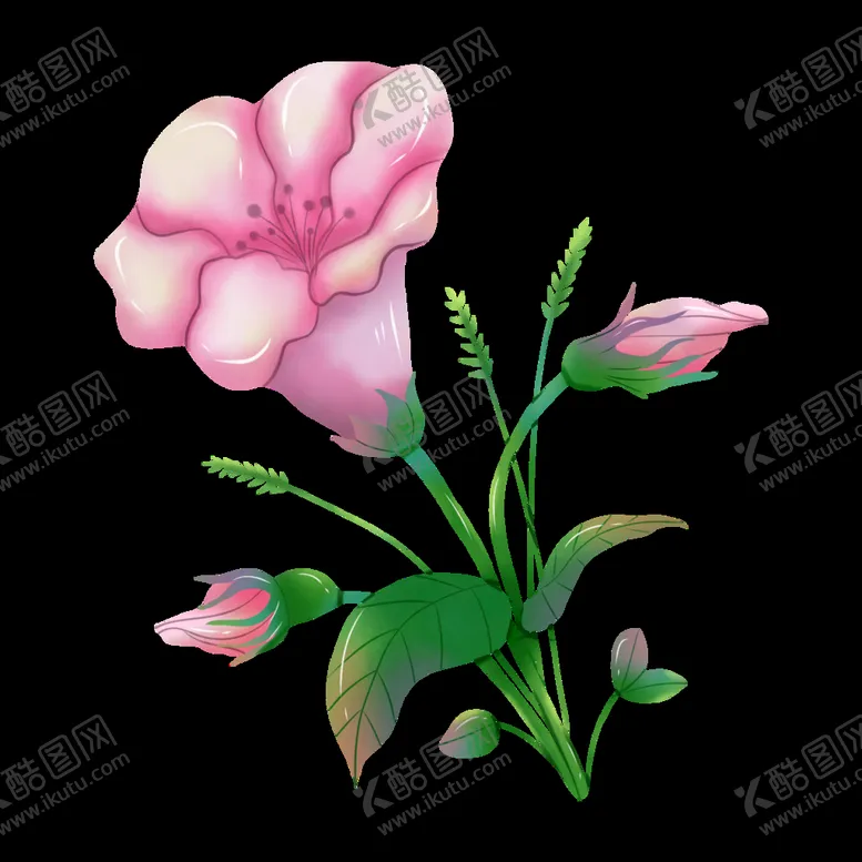 编号：70965910281259101103【酷图网】源文件下载-白色花