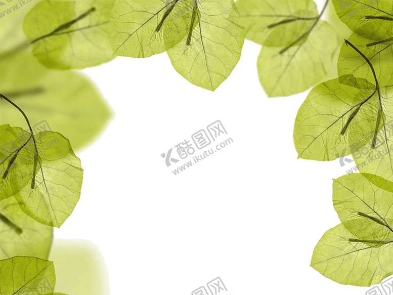 编号：22318810251345434925【酷图网】源文件下载-绿色背景